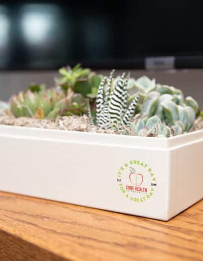 Core Health Chiropractic | Client Case Study Core Health Chiropractic | Client Case Study