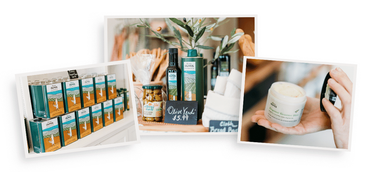 Ciccio's Olives | Awesome Community Spotlight | FXV Digital Design